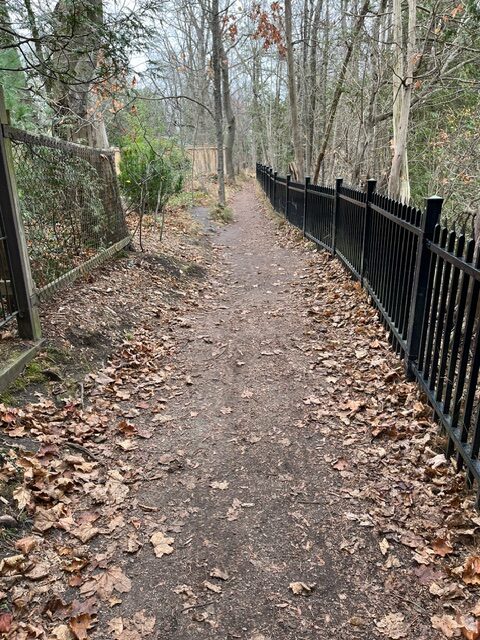 gate at Althea Crystal Retreat