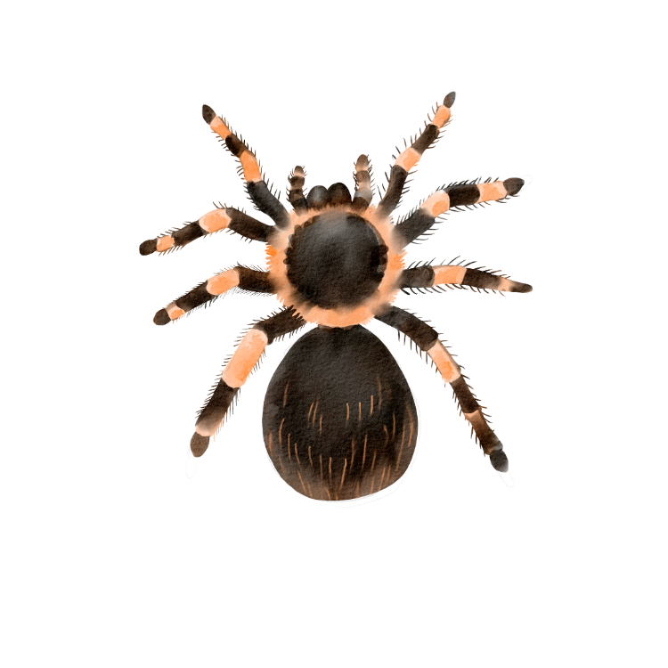 Untitled design 1 - Althea Crystal Retreat